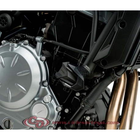 Protectores de motor R19 5700 de PUIG KTM 125 DUKE 2011-